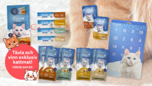 Vi i Villas djurkalender