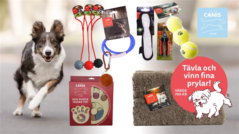 Djurkalendern – vinn fina priser till ditt husdjur! - Vi i Villa