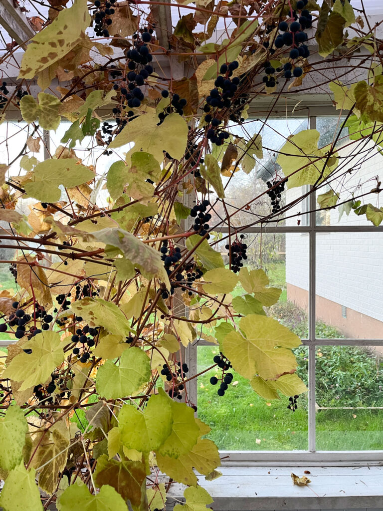 Möt Vi i Villas nya bloggare – unga paret som rustar upp ett 70-talshus i Dalarna - Vi i Villa